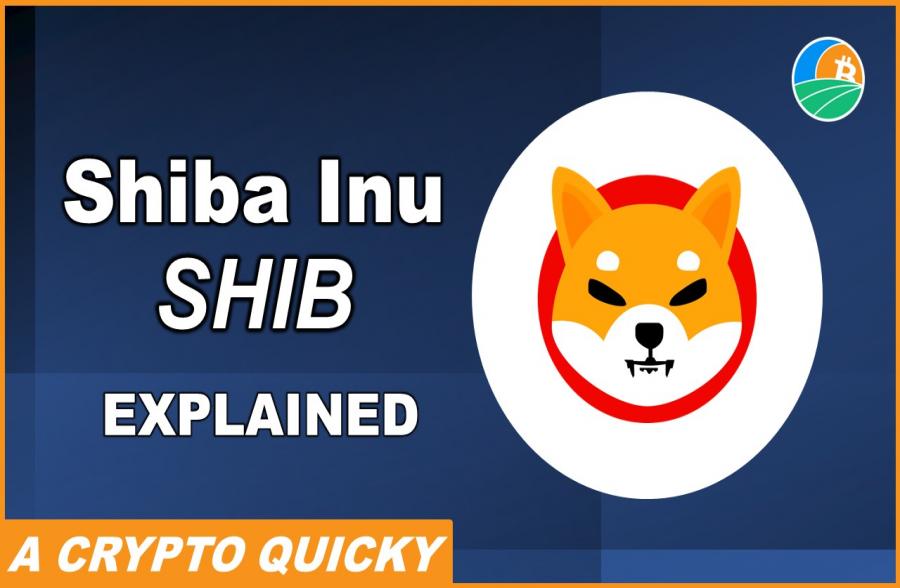 Article-image